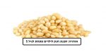 צנוברים